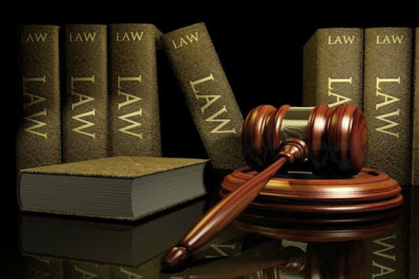 Why Law Needs Empaths, Artists, and Activists 
