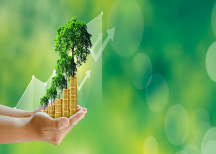 Green Finance and Sustainability: Paving the Way for a Resilient Future