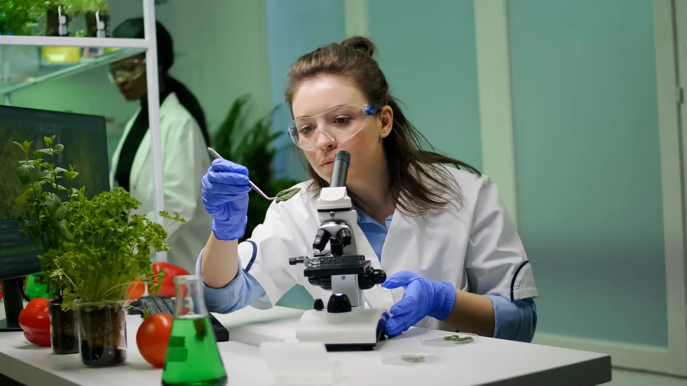 Biology Courses After 12th: Top Career Options for Science Students