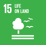 SDG 4 Icon