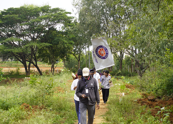 Image 	2